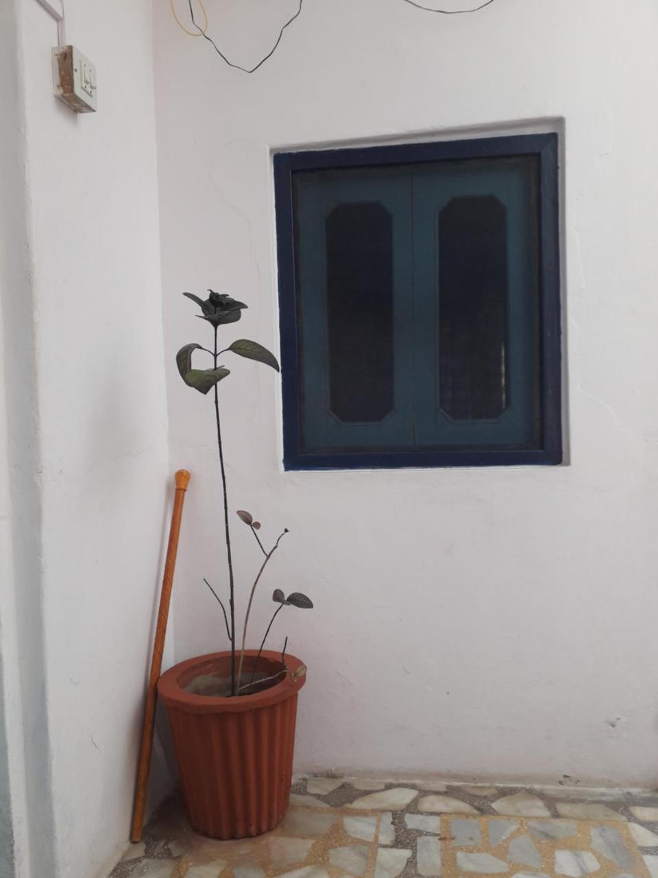 Rajguru Guest House Pushkar Exteriör bild